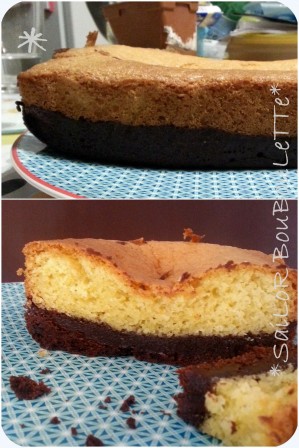 Mon gâteau bi-goût ! gateaubigouts.jpg