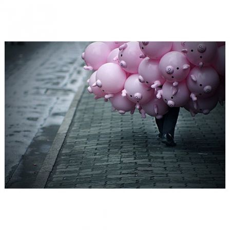 rose-3.jpg